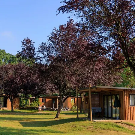 Citykamp Valkenburg - Maastricht Kamp alanı